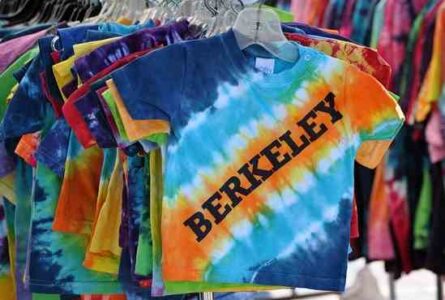 Your Parents Swindled You Image